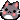 cat gif